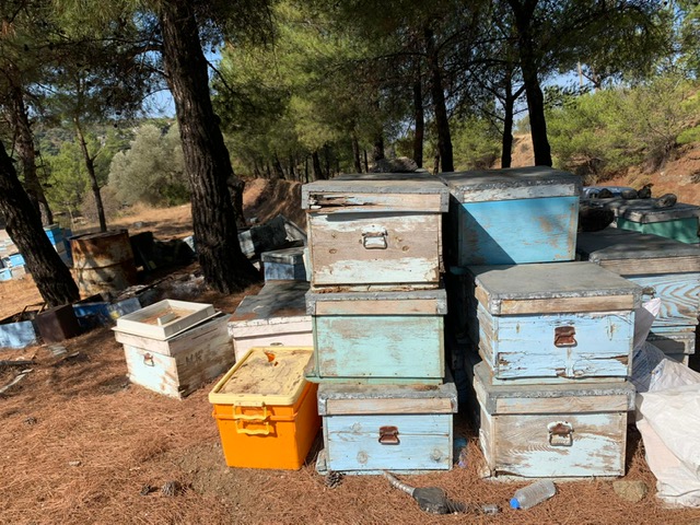 wandelvakanties Turkije honing